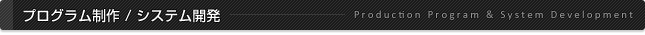 プログラム制作/システム開発